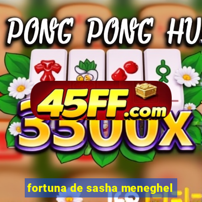 fortuna de sasha meneghel